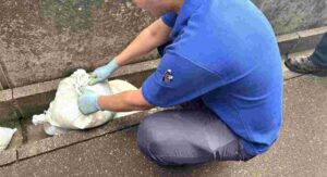 石川県津幡町　ヨシダセイコー　防災訓練　土嚢訓練